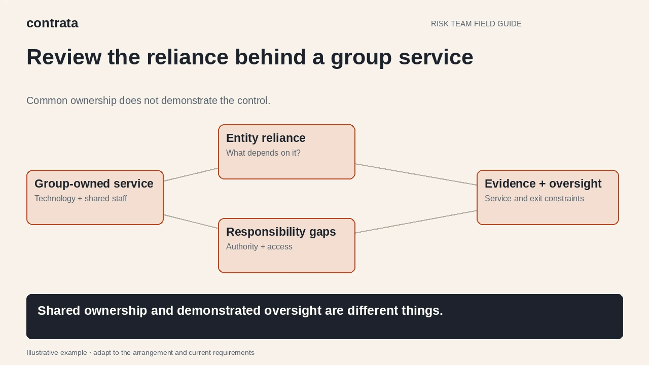 A group-provided service is linked to local reliance, responsibility gaps, supporting evidence and oversight.